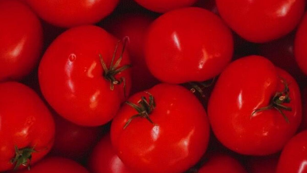 rosii-pane-la-cuptor--se-fac-usor-si-va-puteti-bucura-rapid-de-gustul-lor-grozav_23908600