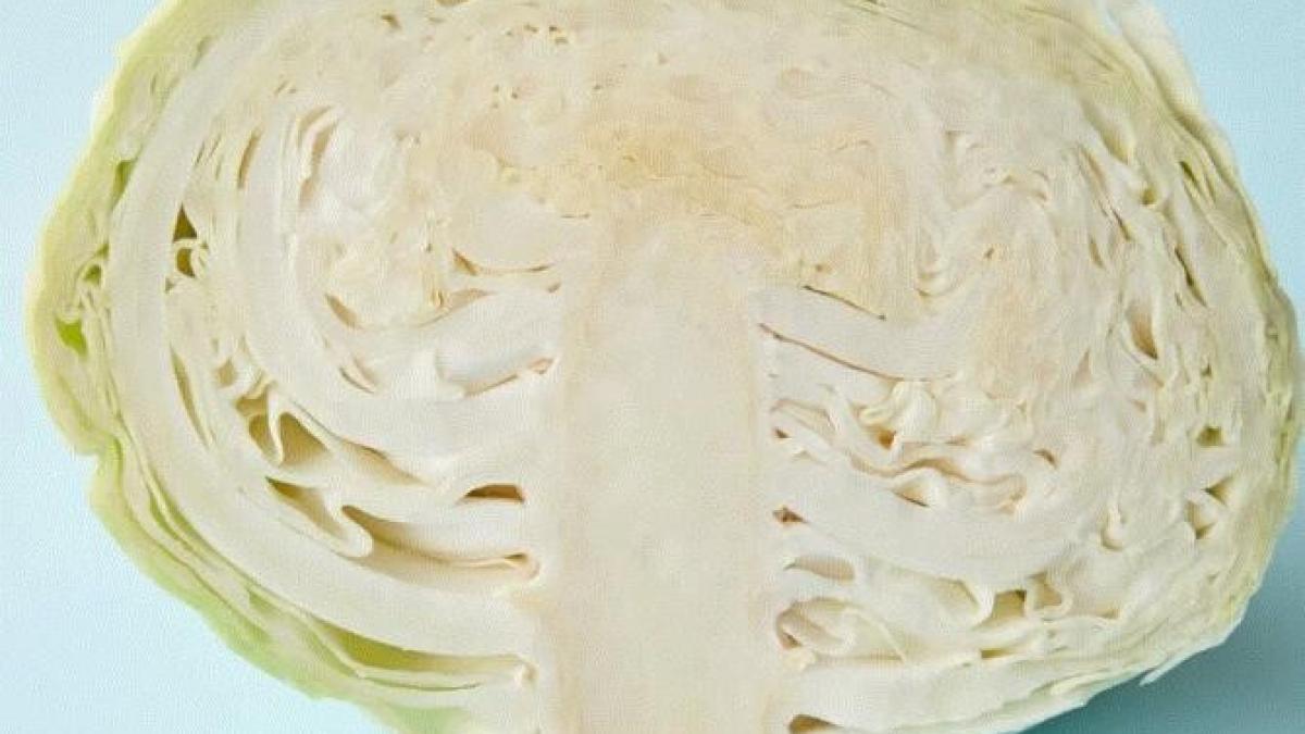 cea-mai-buna-salata-de-vara---chiar-si-cei-carora-nu-le-place-varza--o-vor-adora_67602300