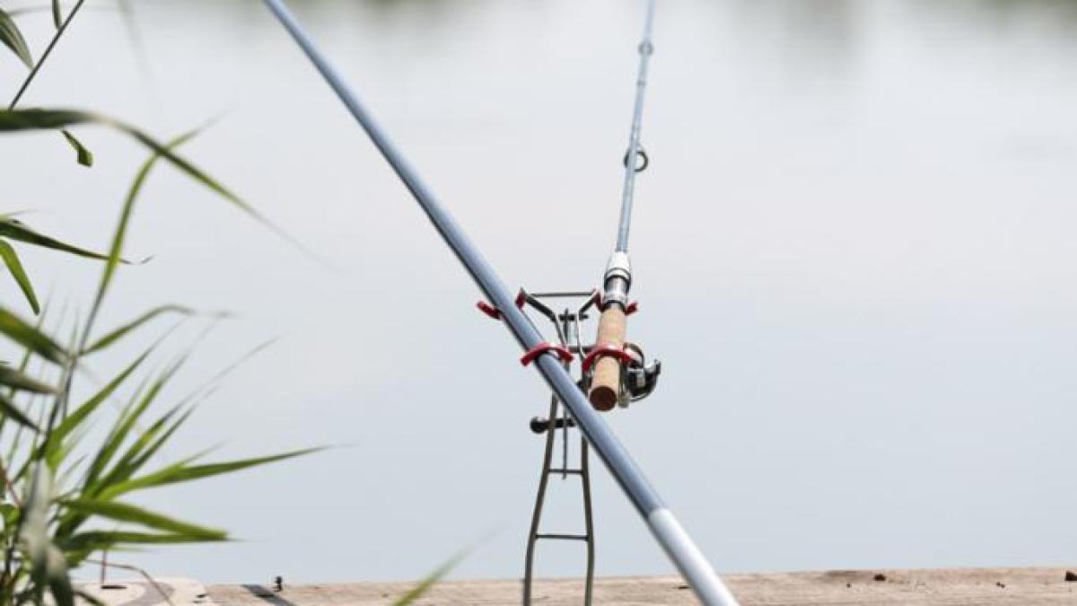 photo-2022-07-28-14-54-175_68085800