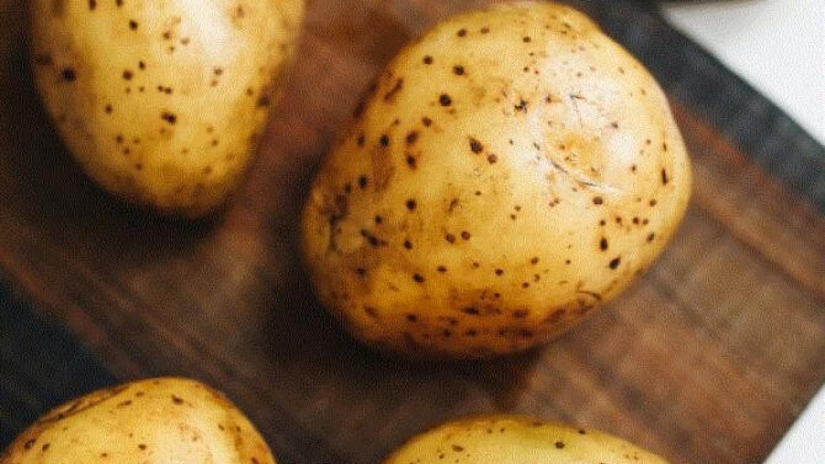 cartofi-noi--in-sos-de-smantana--cu-marar-si-usturoi----o-reteta-satioasa-si-savuroasa_16501800