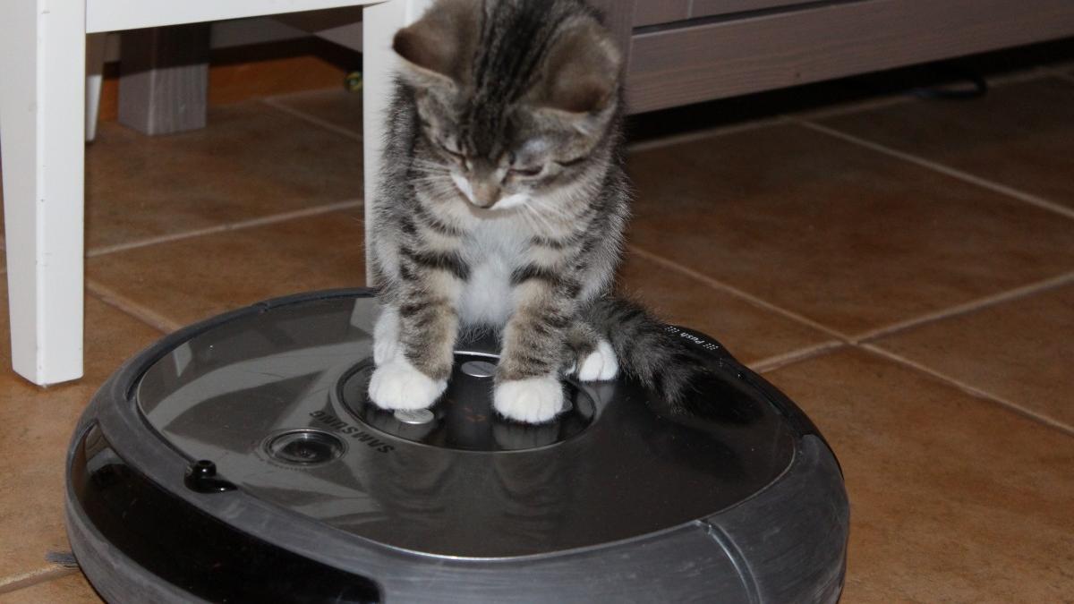 aspirator-robot_49036700