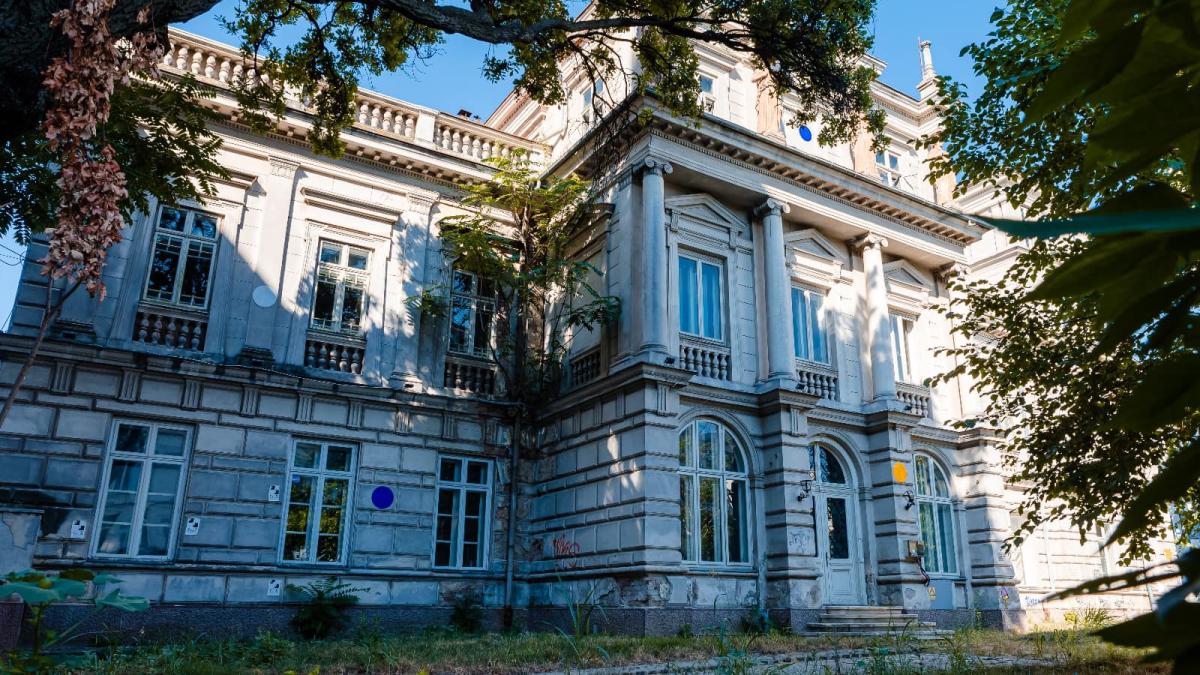 palatul-stirbei_36598600