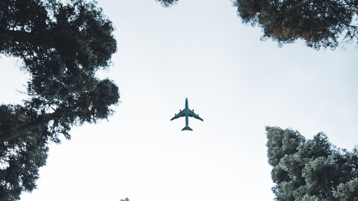 avion-mapn-ajuta-la-stingerea-incendiului_28510400