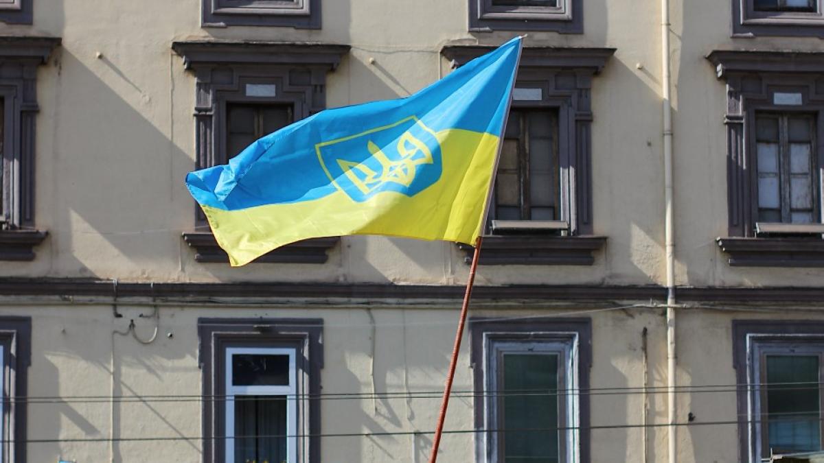 amnesty-international--scuze-publice--prc-e2prc-80prc-9ementinandu-ne-pe-deplin-concluziile--regretam-durerea-cauzataprc-e2prc-80prc-9d_13492600