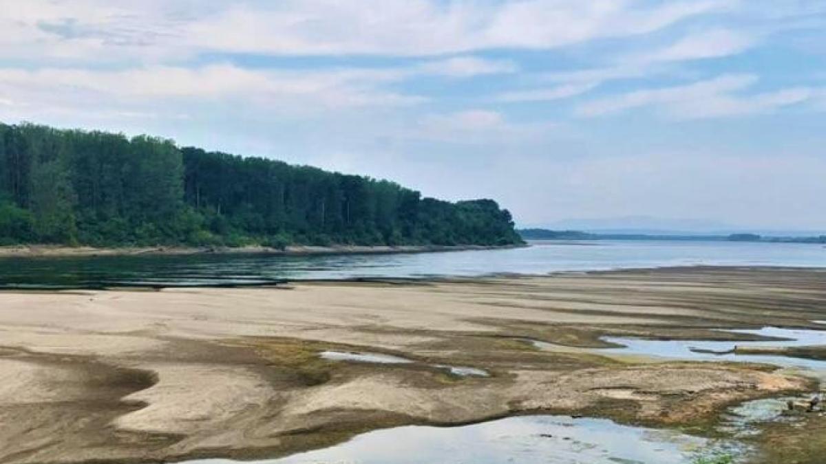 dunarea-la-garla-mare_sursa-annemariegavrila_94511200