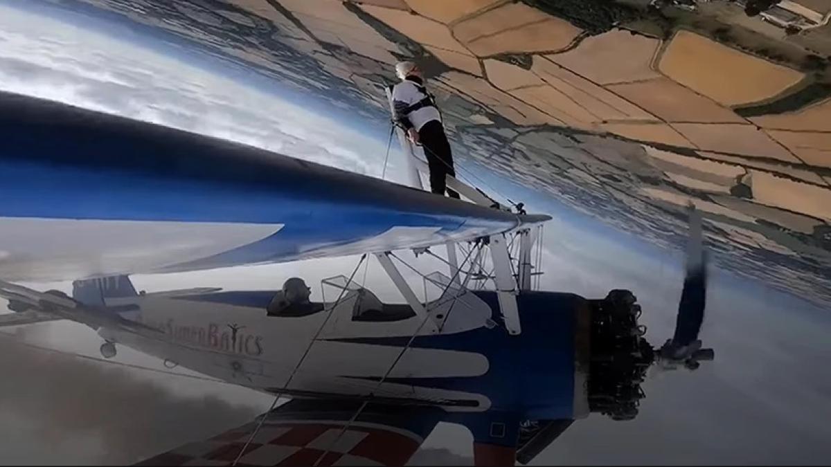 batranica-aviatior_95143700