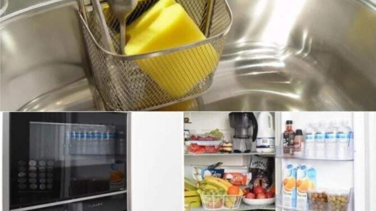 de-ce-sa-tii-mereu-un-burete-in-frigider--te-ajuta-foarte-mult_15718700