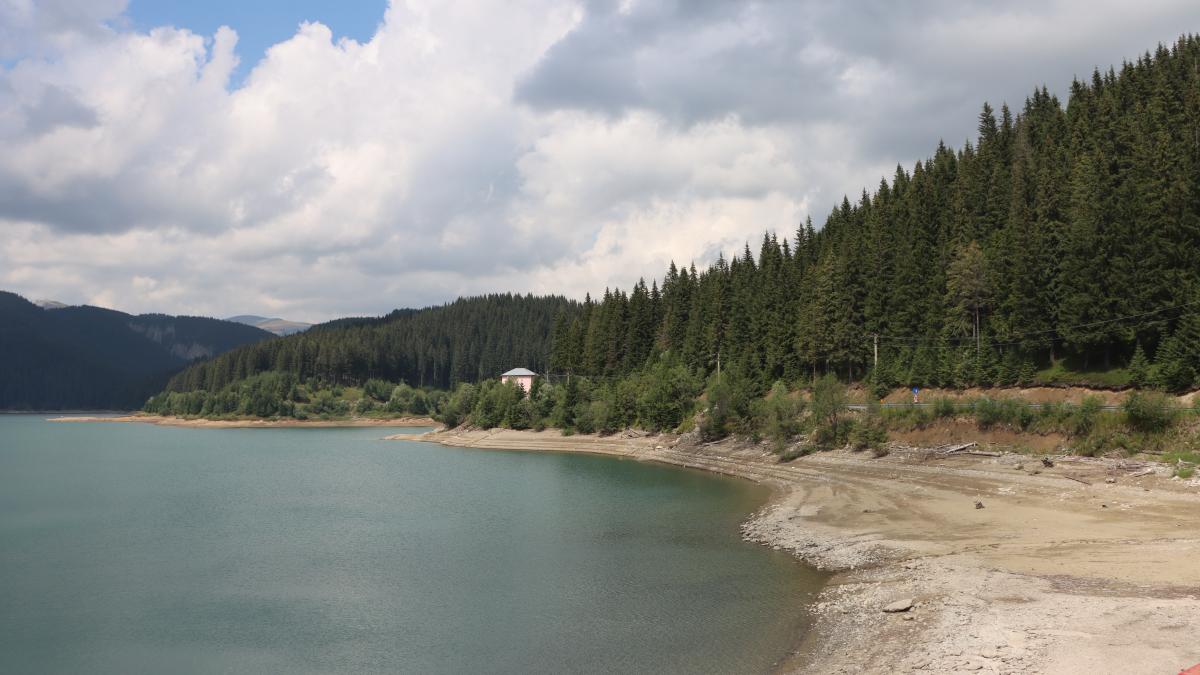 bolboci-lac-nivel_03882900