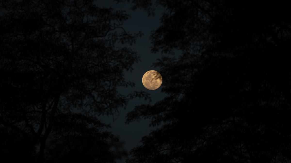 super-luna-plina-sturion--12-august--cum-influenteaza-viata_23246200