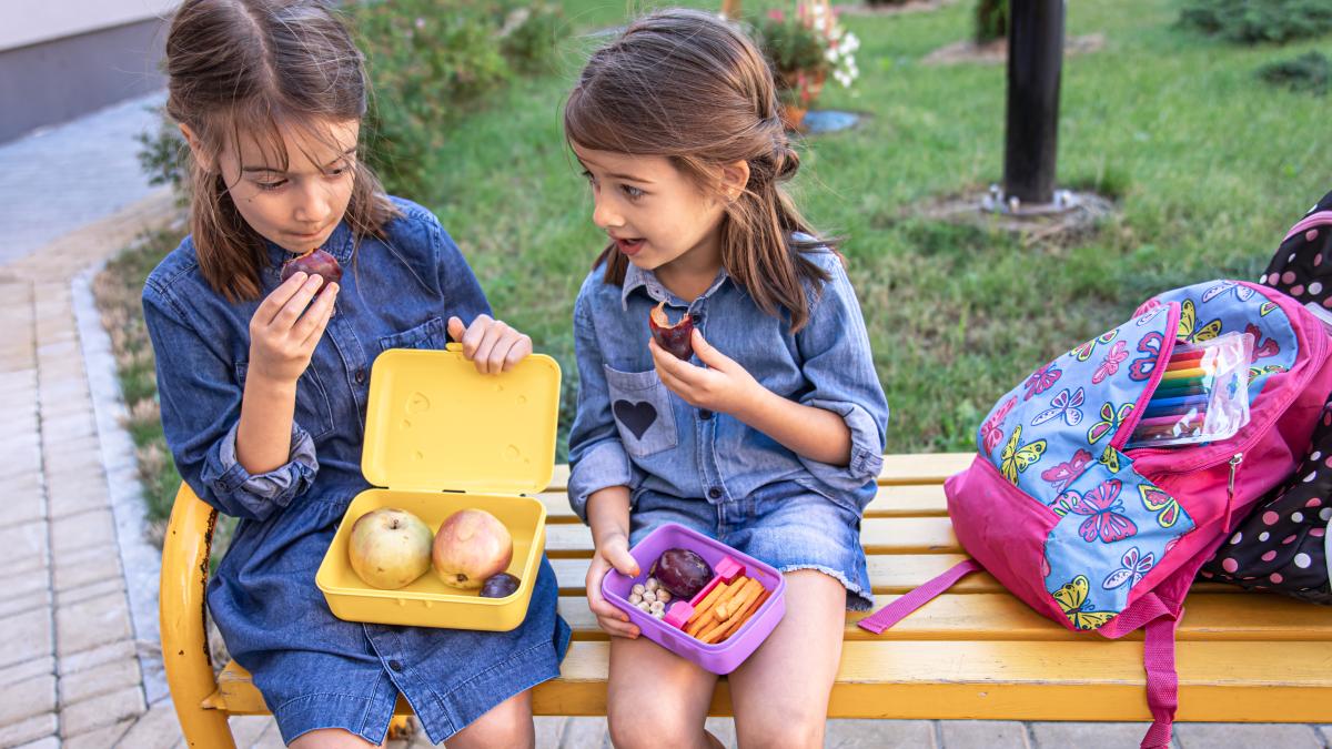 pranz-elevi_95246200