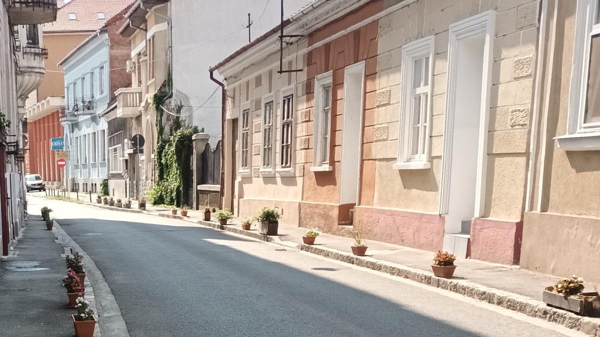 jardiniere-cu-flori-oradea_03464400