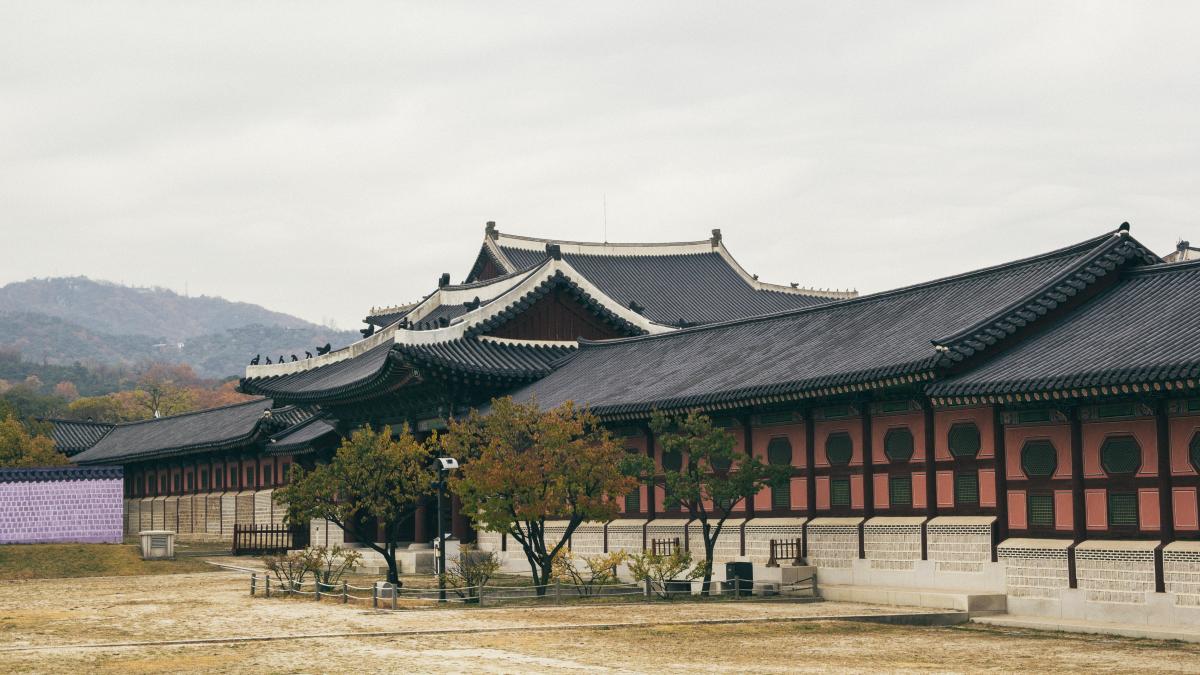 coreea-de-nord-sustine-ca-a-invins-pandemia-de-covid_75825800