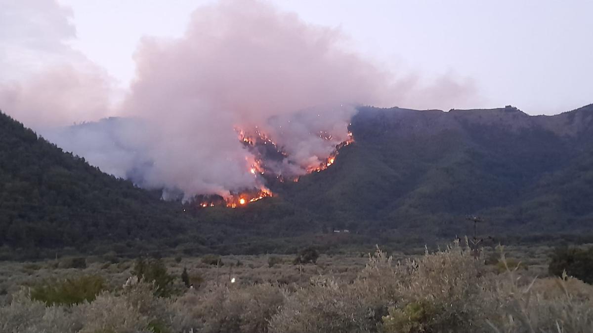 thassos_incendiu_padure_fb_48085800