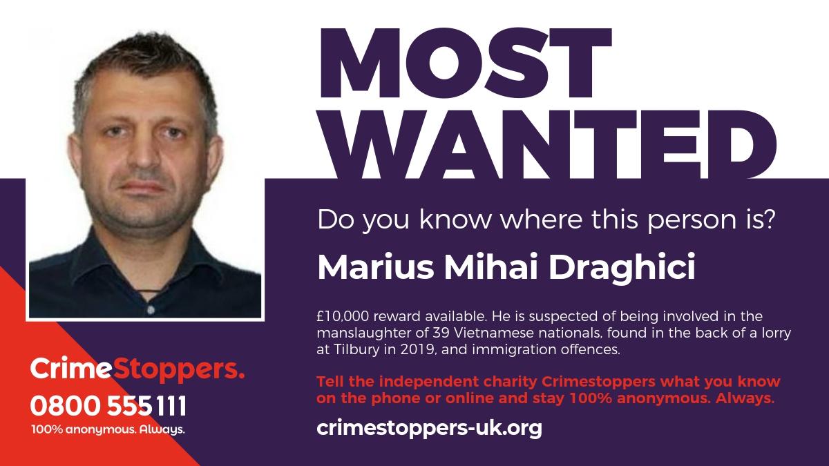 marius-mihai-draghici_74678700