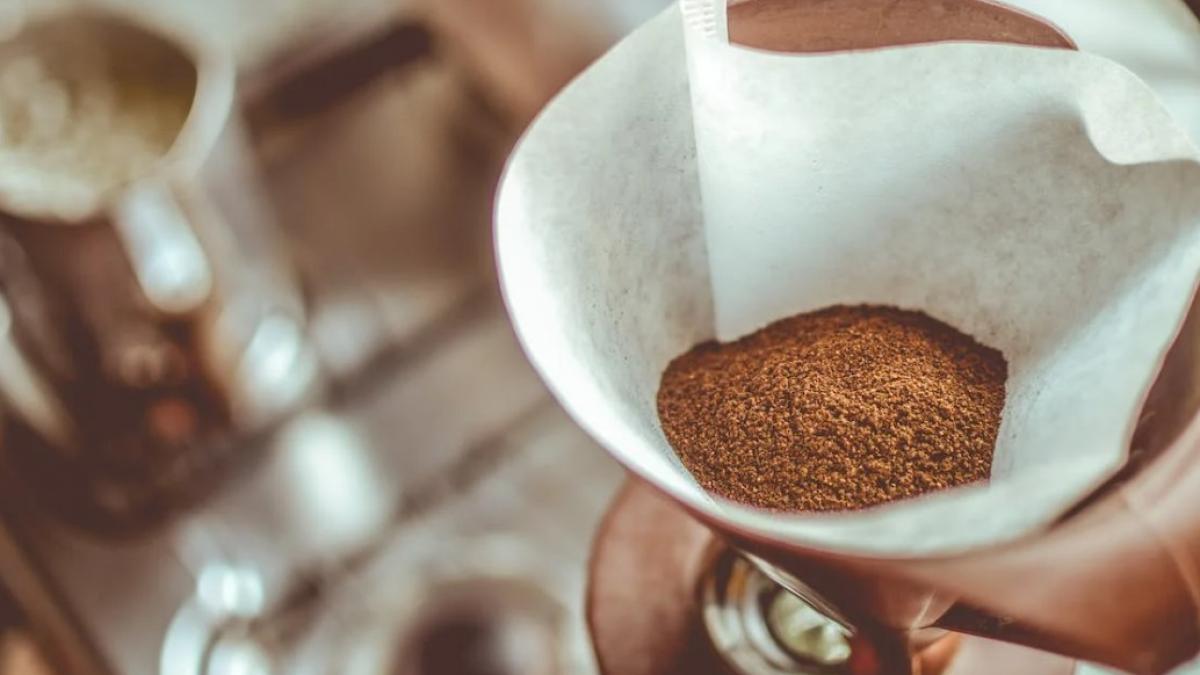 zat_de_cafea_foto_pexels_48157000