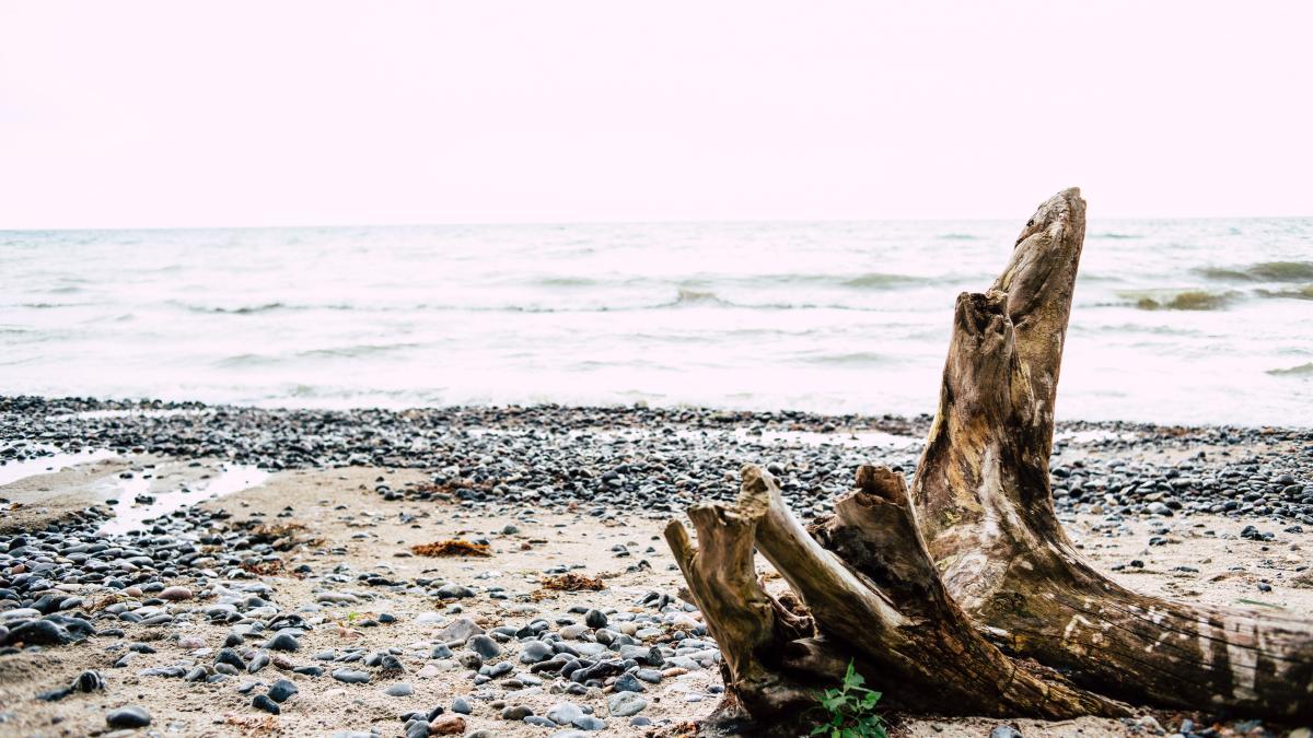 marea-baltica-pata-substanta_38176600