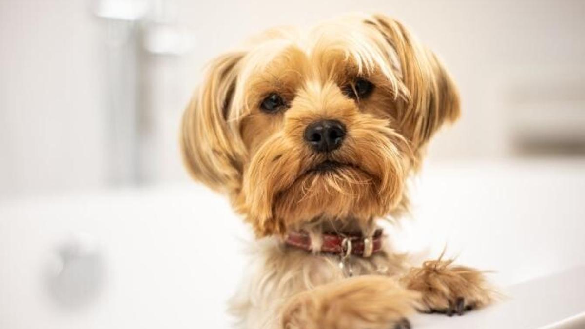 catel_baie_foto_pexels_72294000