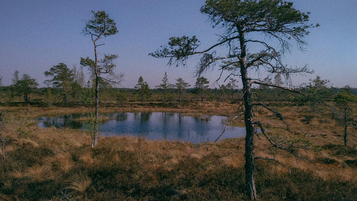 din-ce-in-ce-mai-multe-trupuri-umane-ies-la-suprafata-in-lacul-mead_45723200