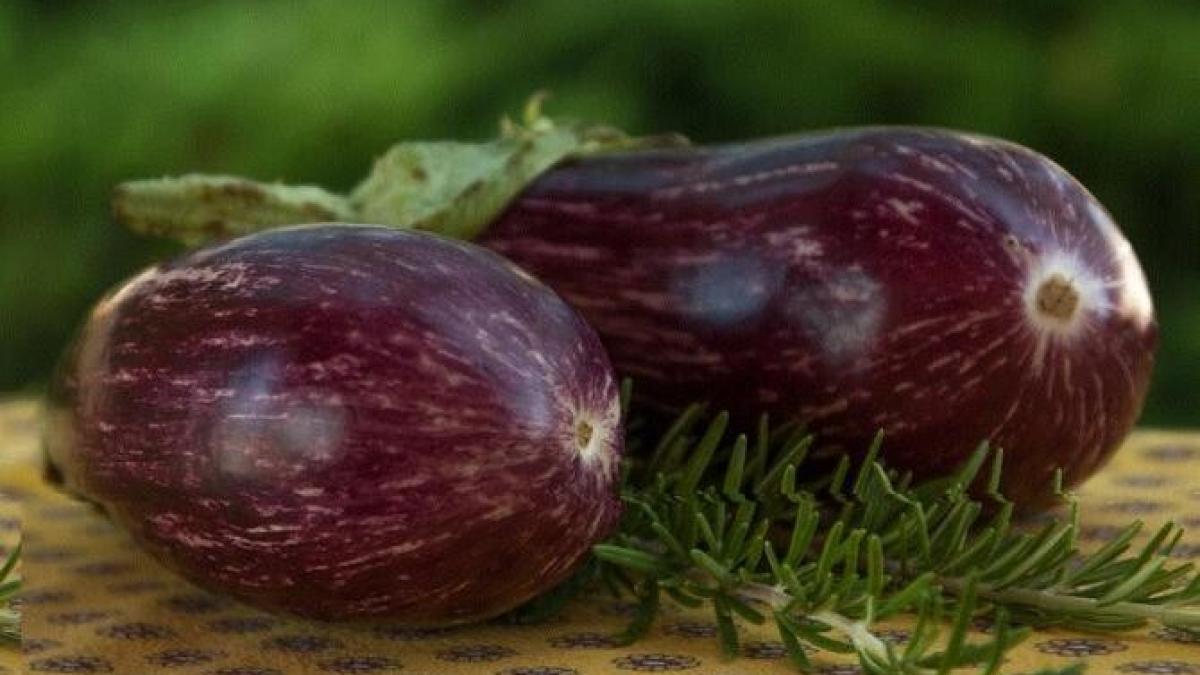 placinta-rustica-de-vinete---se-face-usor--repede-si-nu-ai-nevoie-de-cuptor_93201900