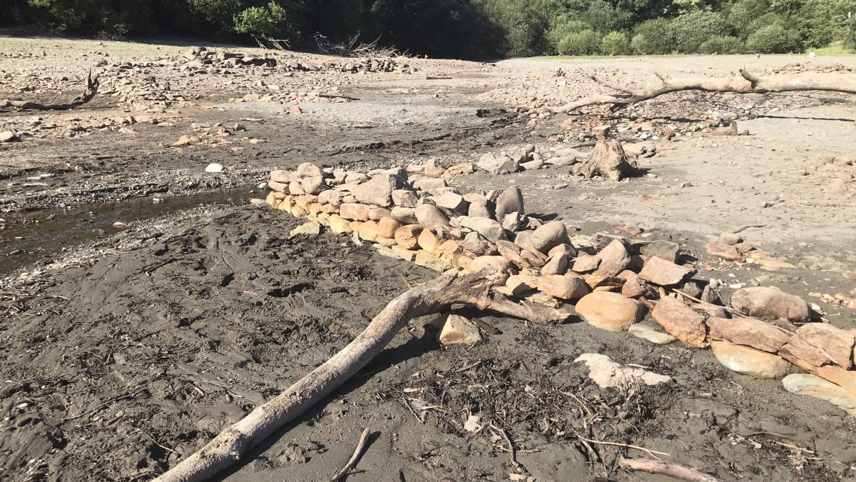 seceta-vyrnwy-_37469100