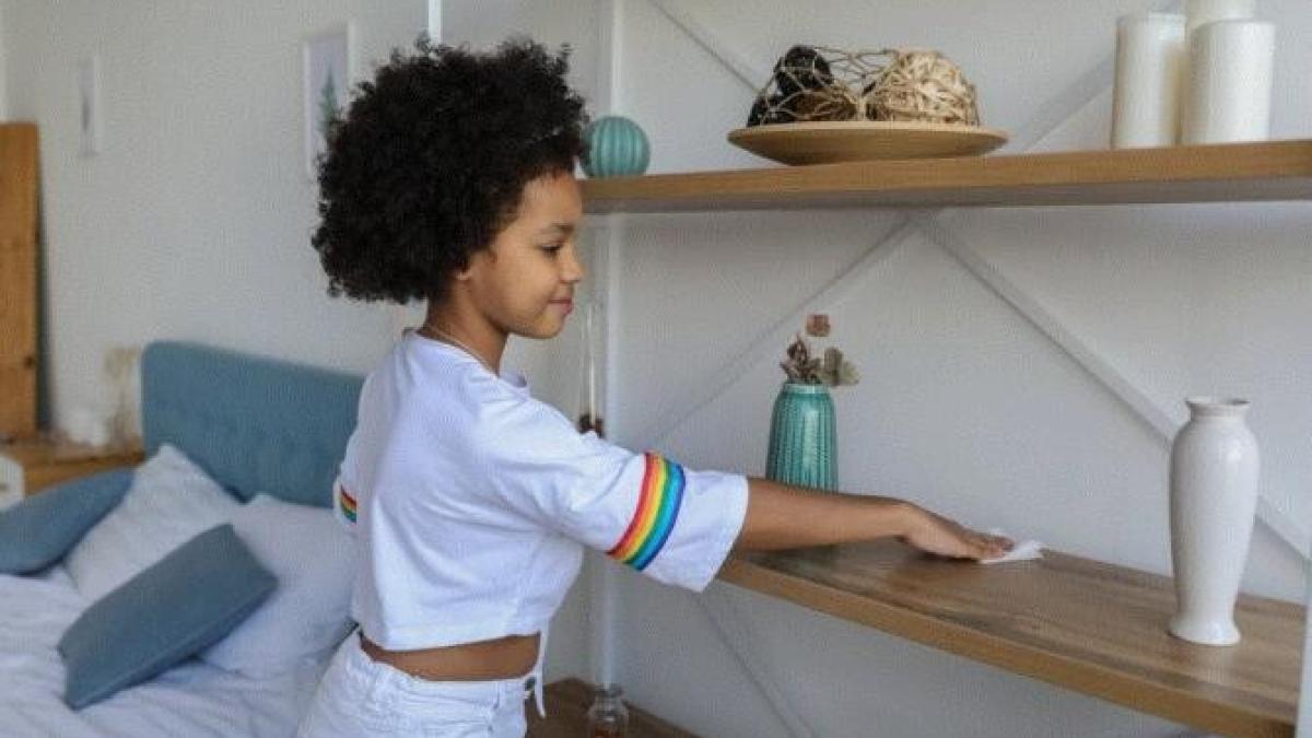 ce-fac-gospodinele-franceze-ca-sa-scape-de-praf----trucul-cu-care-uita-saptamani-intregi-de-curatenie_94840300