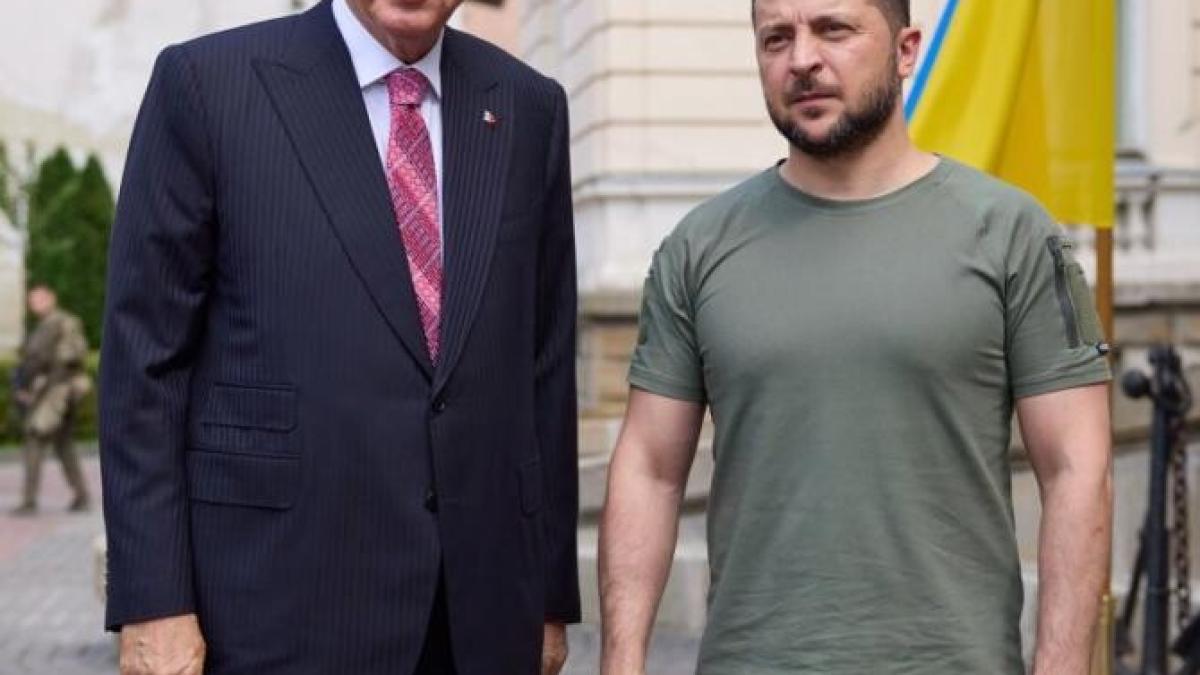 erdogan-zelenski_68387800