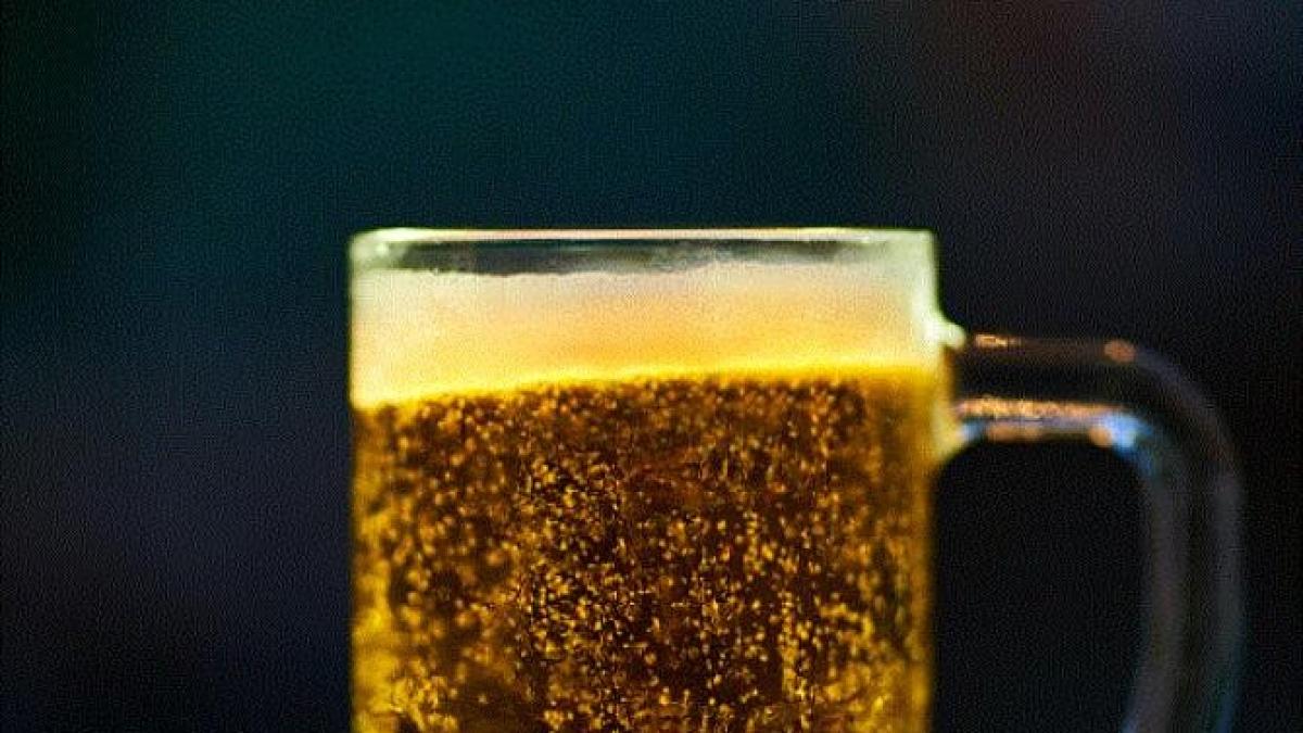 folositi-bere-ca-ingrasamant-pentru-plante---vor-creste-sanatoase-si-vor-inflori-non-stop_11278100