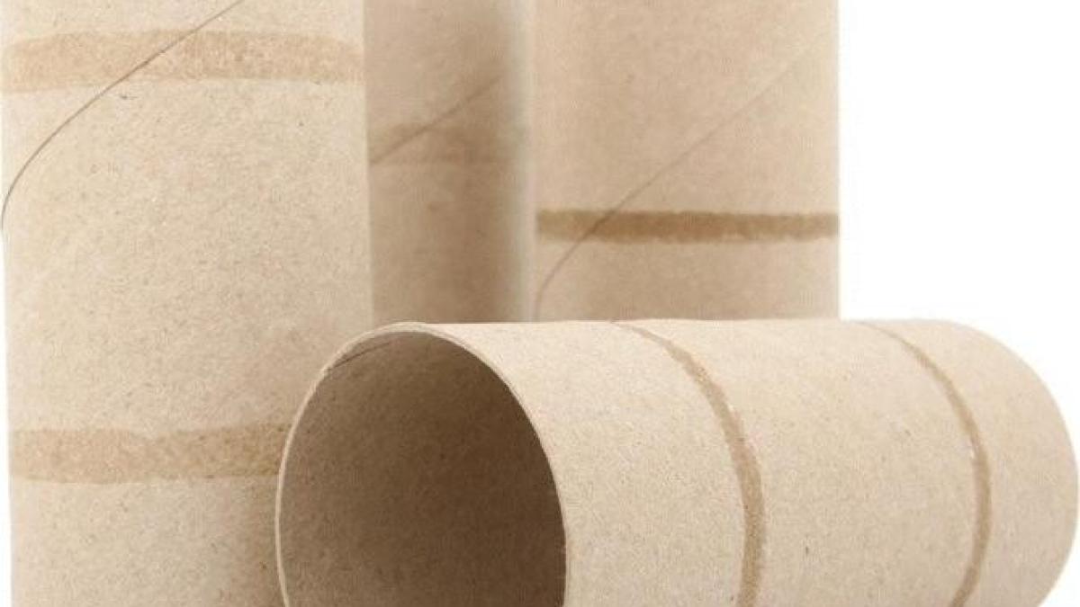 patru-moduri-uimitoare-de-reutilizare-a-rolelor-de-la-hartia-igienica---distrati-va-impreuna-cu-cei-mici-si-creati-lucruri-originale_22406700