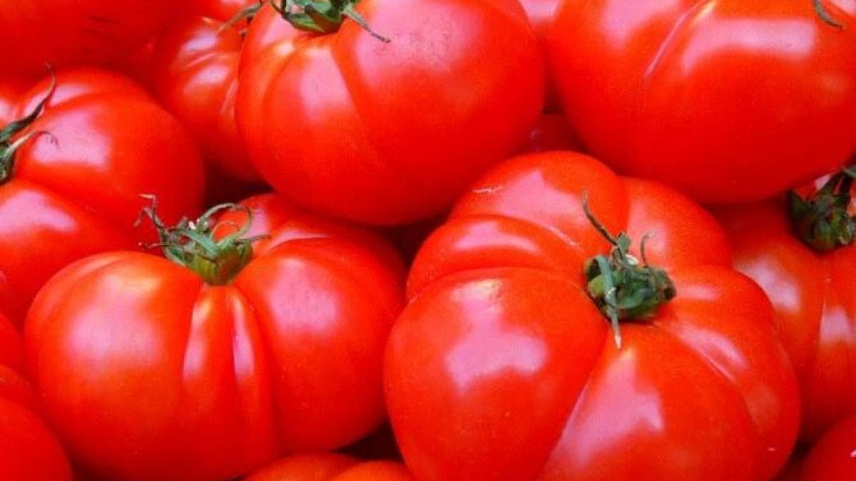 o-super-cina--gata-in-5-minute---aveti-nevoie-de-oua--rosii-si-branza_46251000