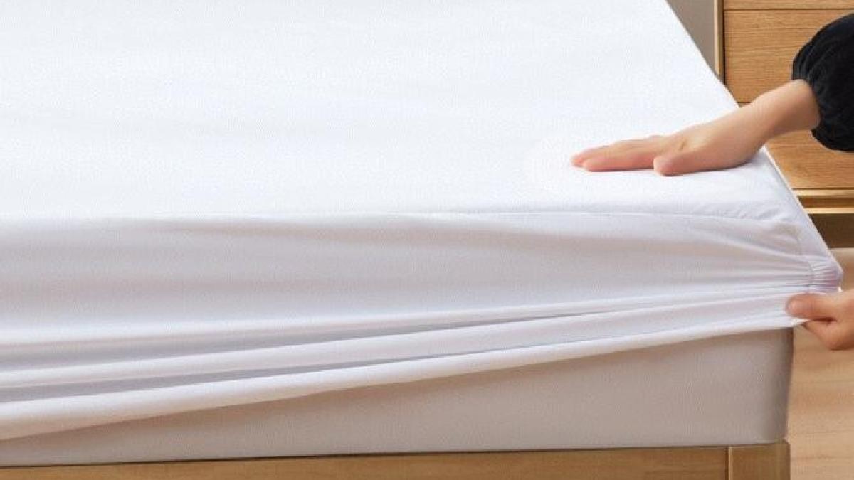 spalati-lucrurile-albe-fara-inalbitor--doar-gospodinele-pricepute-cunosc-acest-remediu-ieftin_76373200