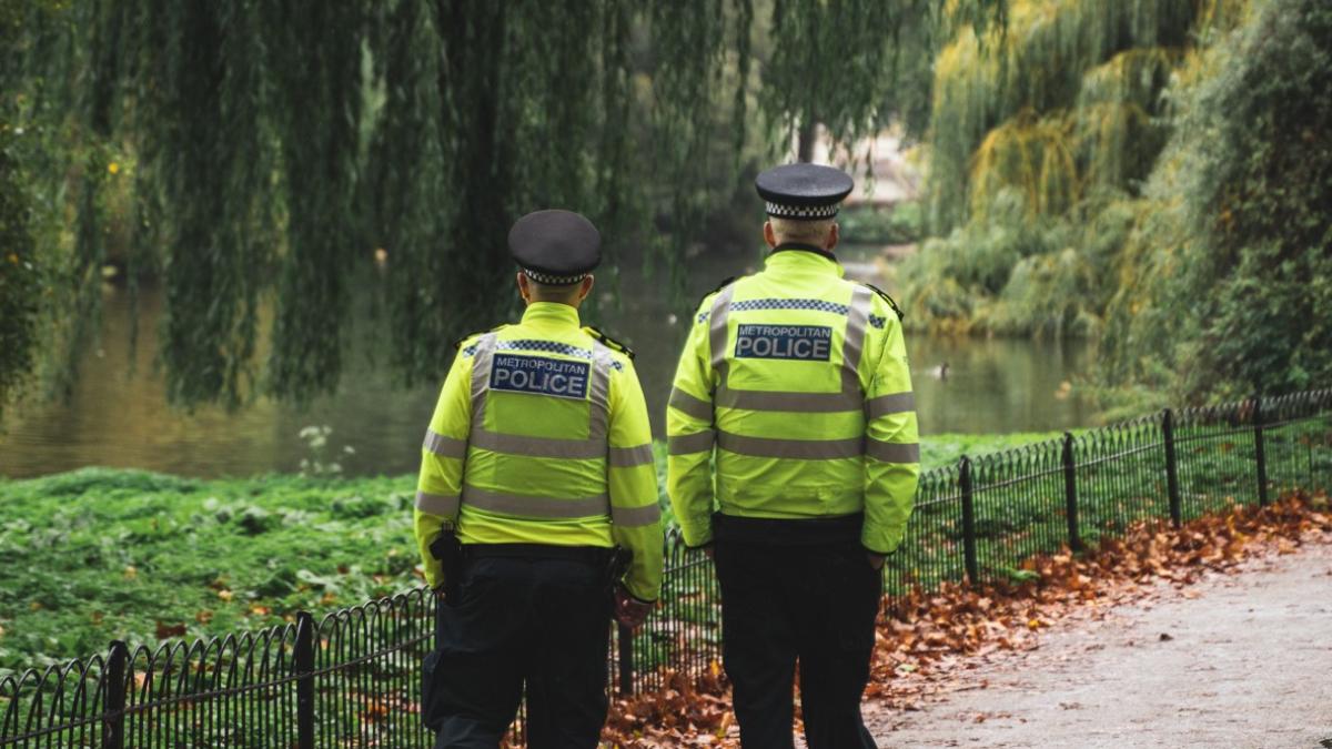 babatul-pe-trotineta-val-valcu-si-alfred-bulai-politia_51178200