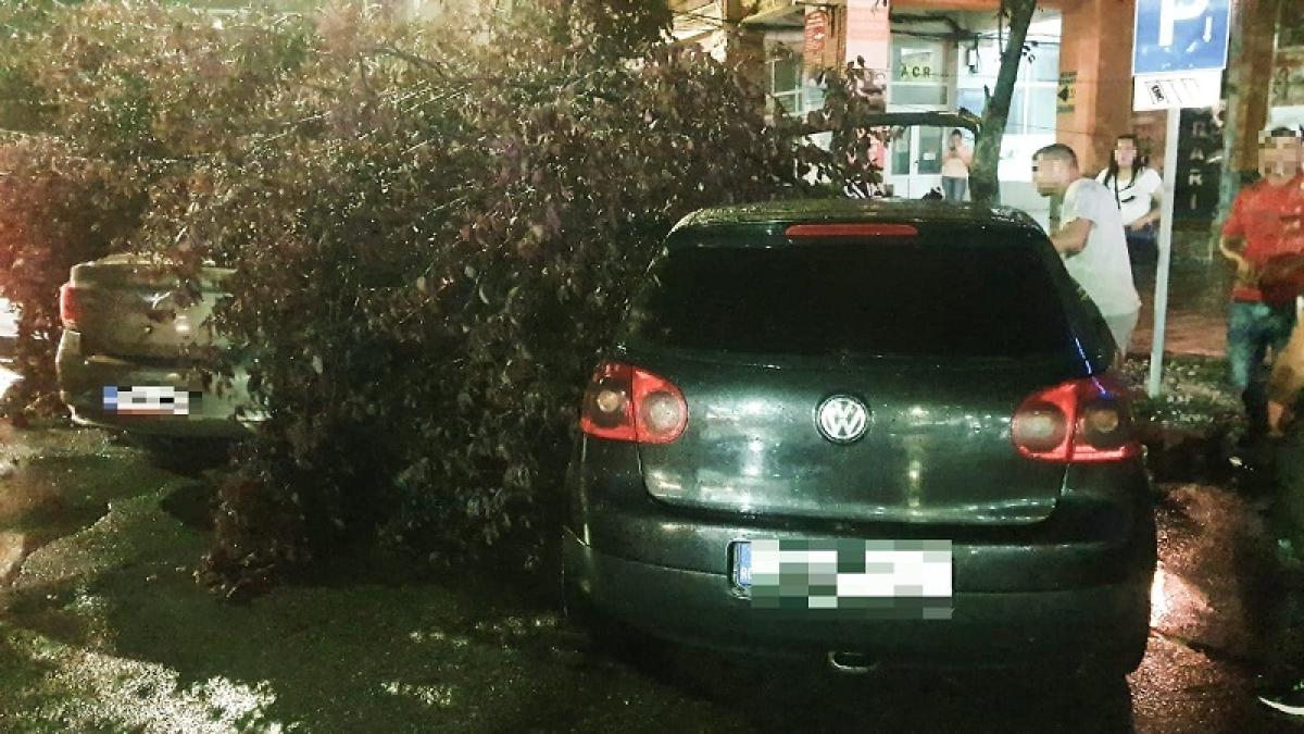 prapad-in-targoviste--dupa-ce-o-vijelie-a-cuprins-orasul--masini-avariate--acoperisuri-smulse-de-vant-si-copaci-rupti-foto-5_09224400