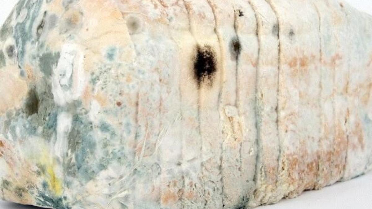 ce-poti-face-cu-painea-mucegaita----doua-metode-care-te-ajuta-sa-economisesti-banii_58761700