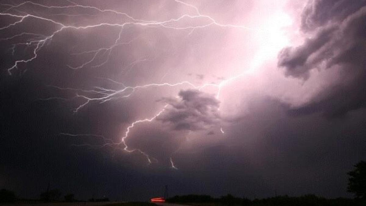 copaci-si-stalpi-de-electricitate--doborati-de-vant-in-mai-multe-localitati-din-prahova_72913900