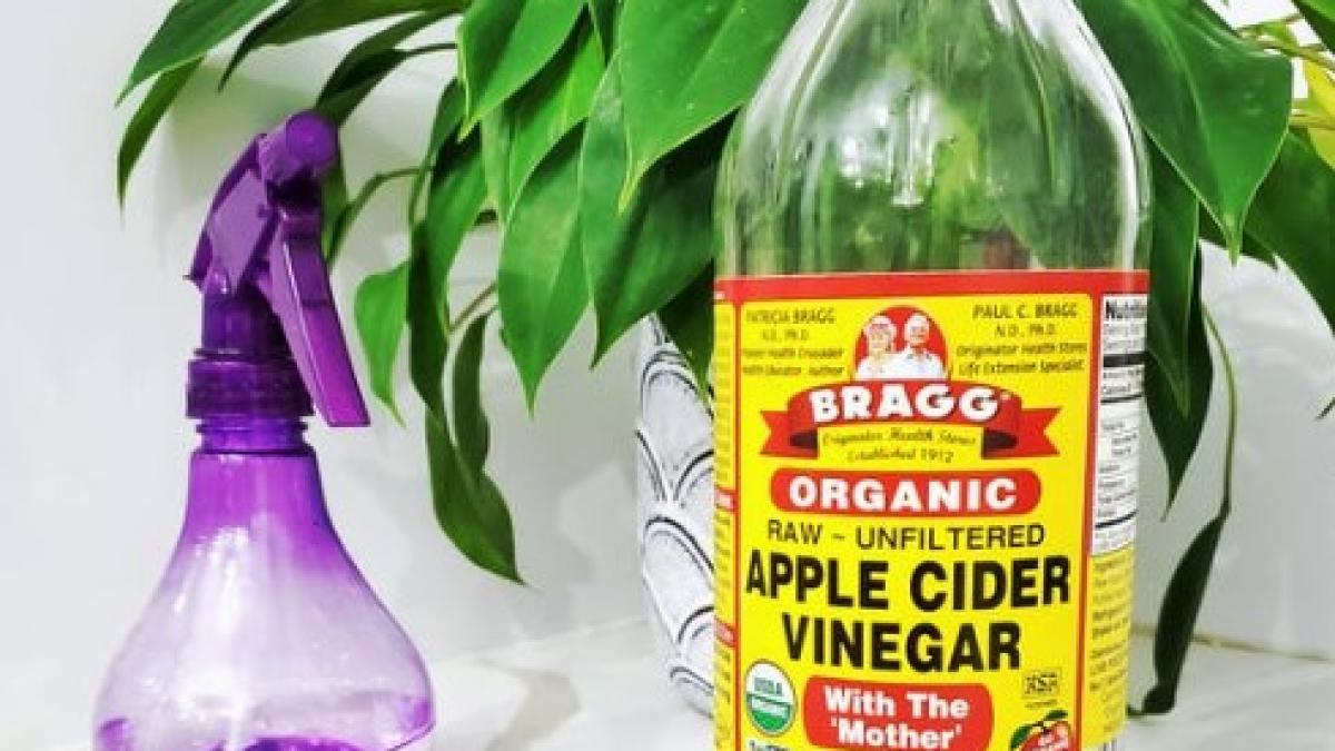 otet-de-mere_47046700