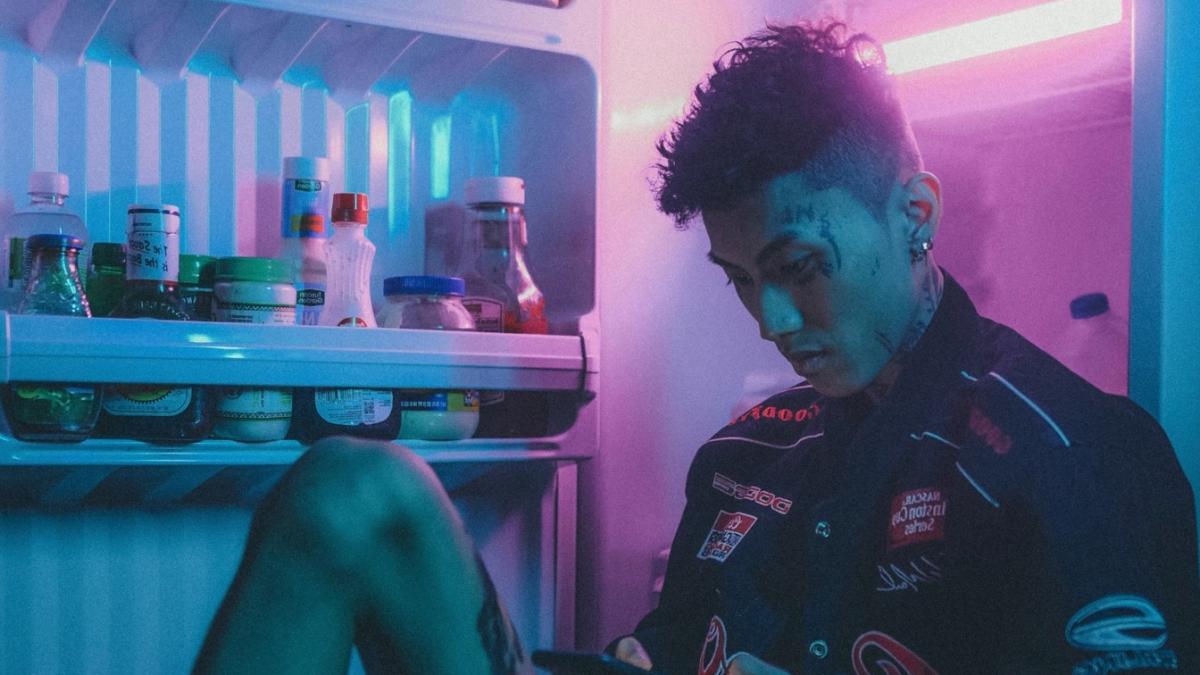 turist-filmat-in-timp-ce-a-furat-un-frigider_99720600