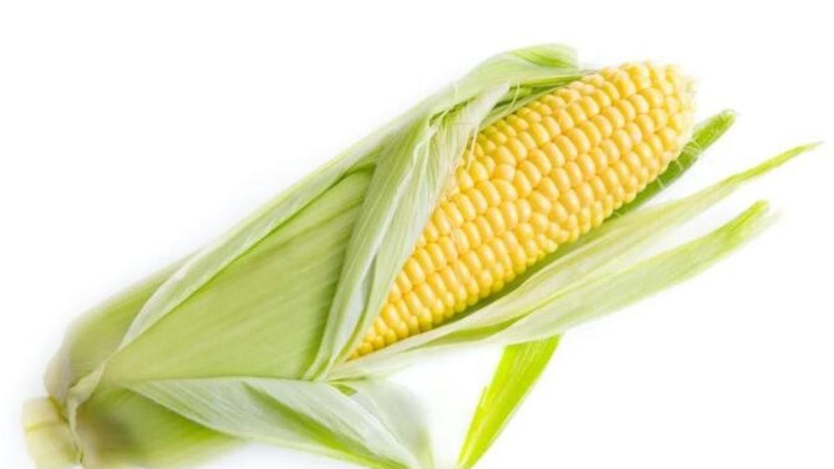 porumb-delicios--copt-in-cuptor-cu-unt-si-usturoi---copiii-il-vor-adora_16047700