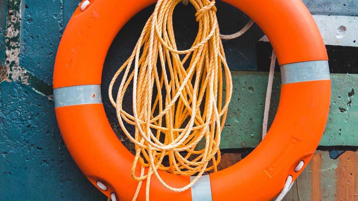 pexels-erik-mclean-5753323_32983900