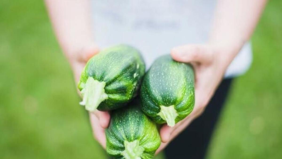 dovlecei-cu-branza--gatiti-in-cuptorul-cu-microunde----sunt-cu-adevarat-savurosi_97897100