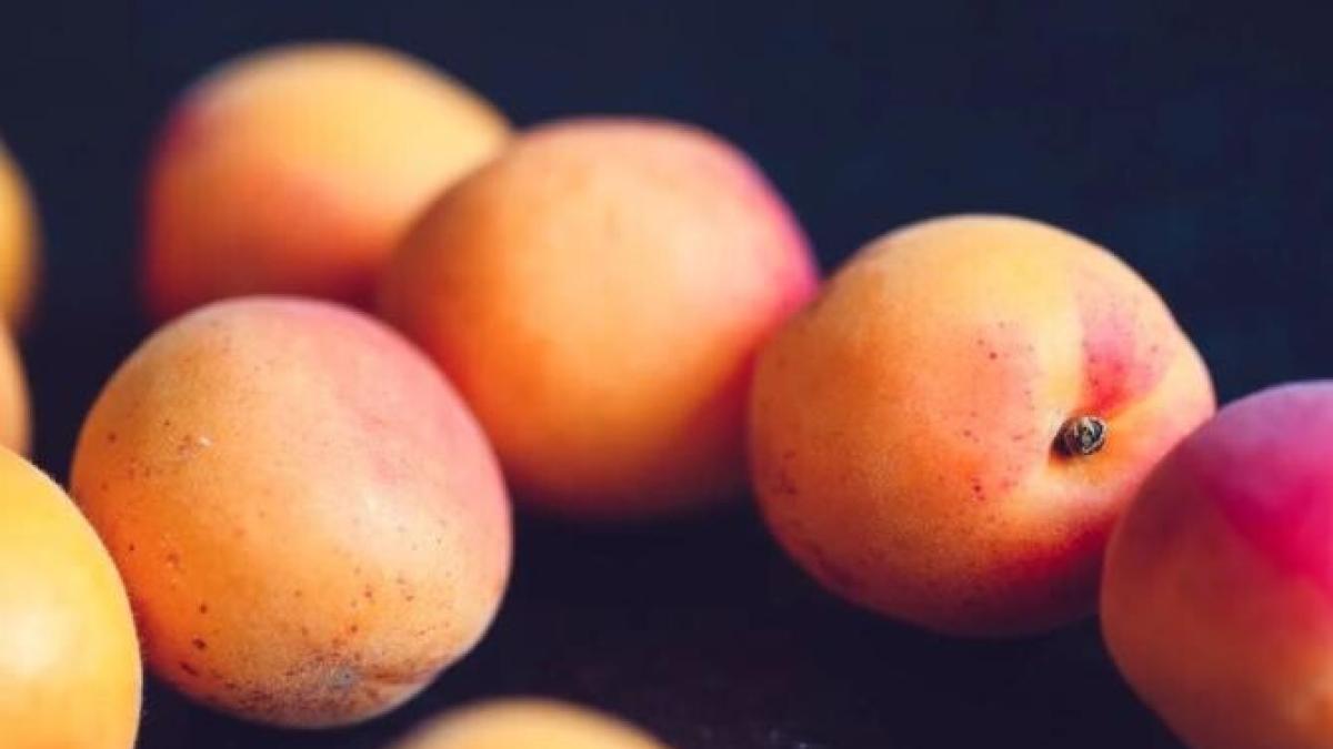 un-mic-dejun-delicios-si-usor-de-facut---prajitura-cu-piersici--fara-unt_89866600