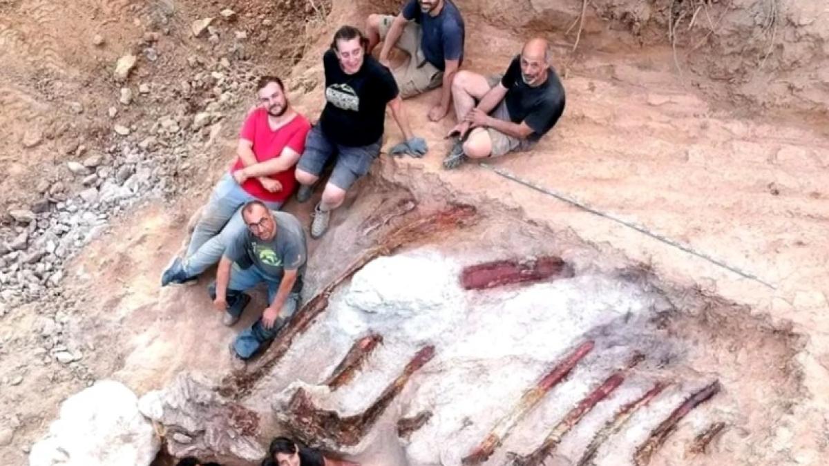 schelet-dinozaur_57242900