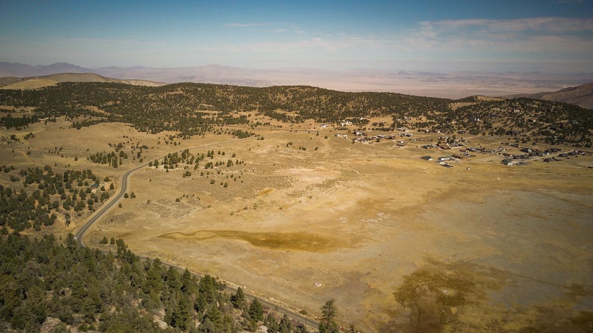 perdele-forestiere-gabriela-bancila_26633800