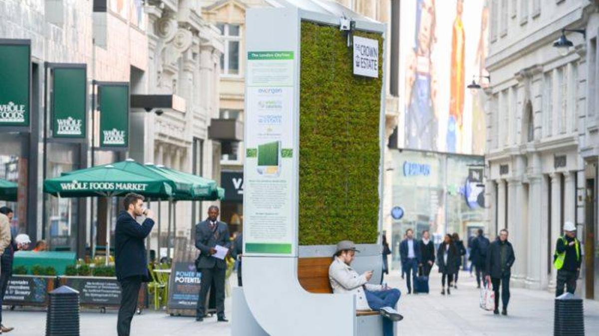 city-tree-londra_42215700