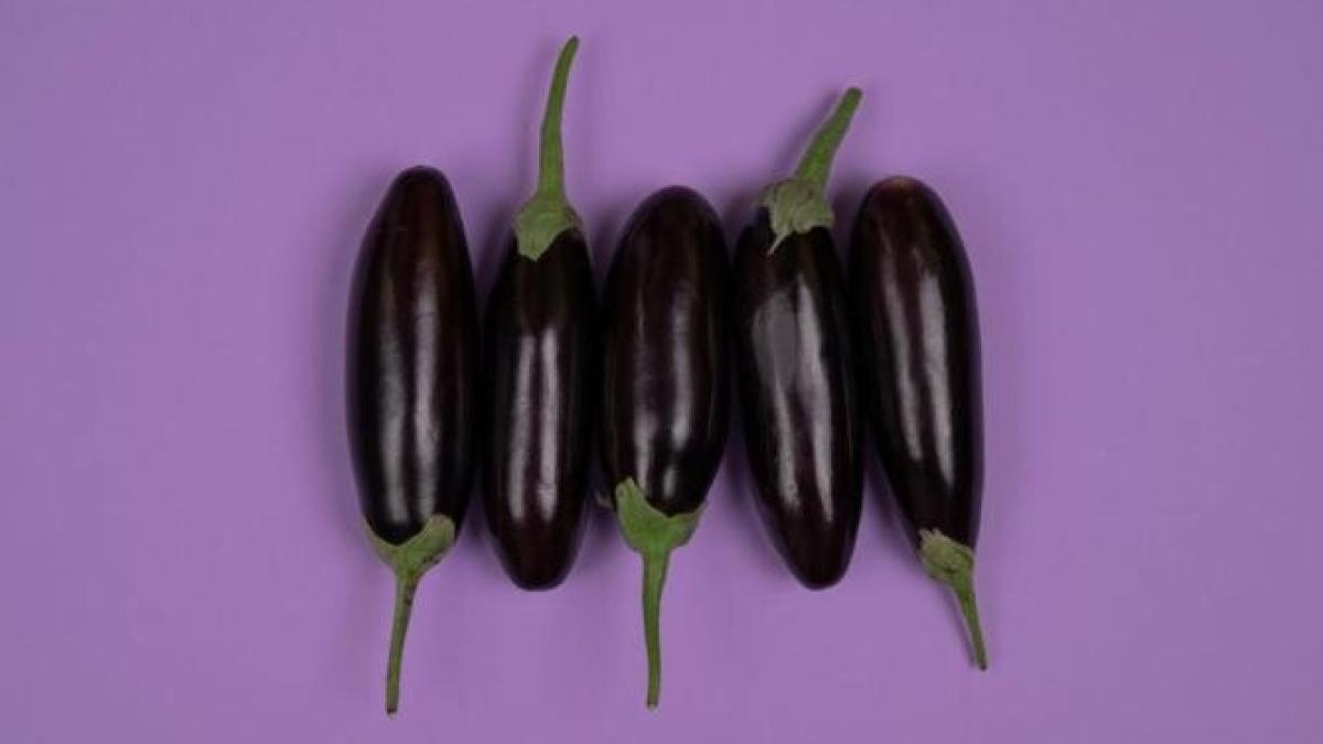 vinete-pane-la-cuptor----sunt-la-fel-de-savuroase-ca-si-cele-prajite-in-ulei_96235900