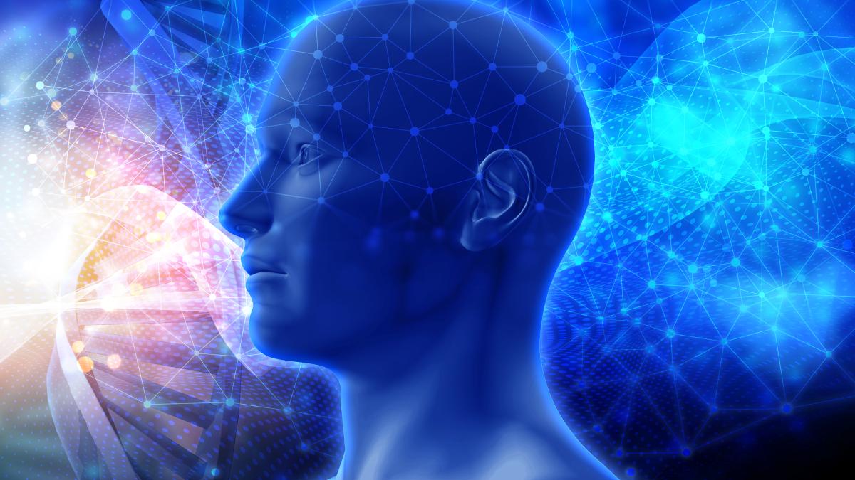 creier-tanar_51968000