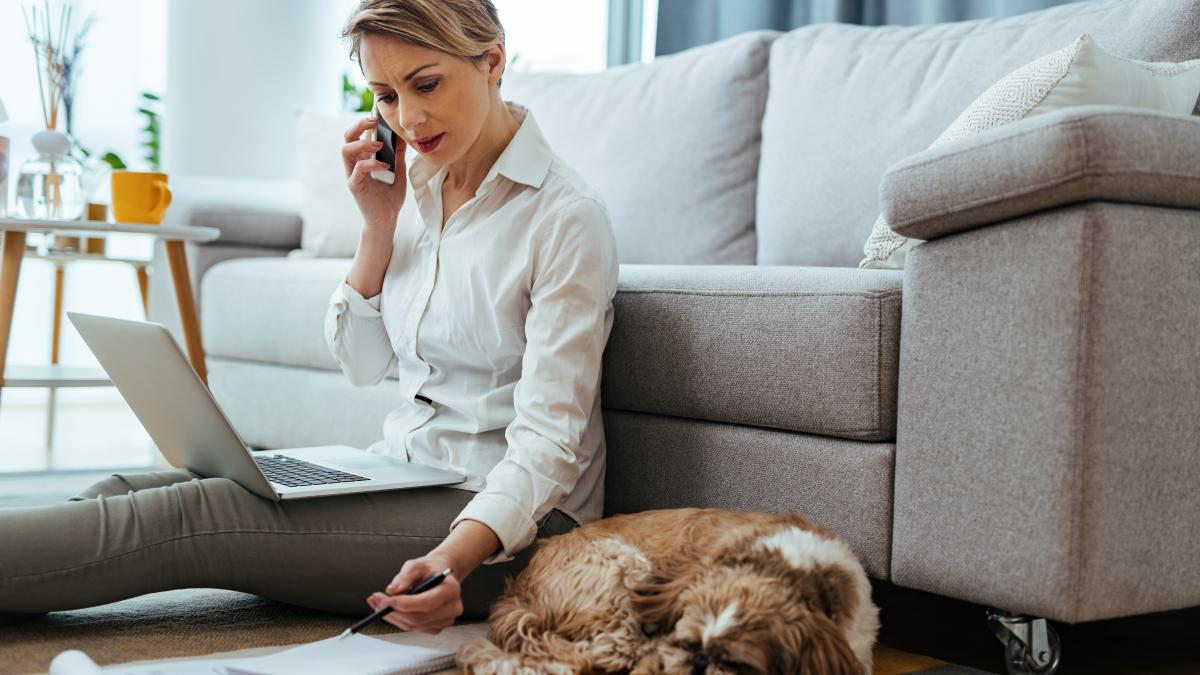 telemunca-animal-de-companie_90022000