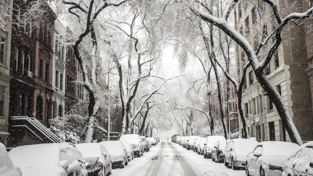 gabriela-bancila-fake-news_12642700