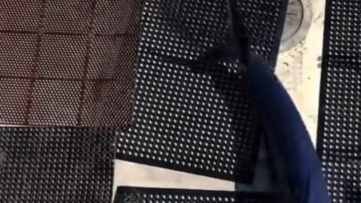 momentul-in-care-un-rechin-urias-sare-in-barca-unor-oameni-_54880200