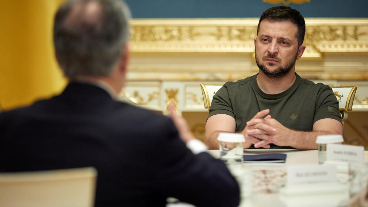 zelenki-centrala-zaporojie-aiea_17161400