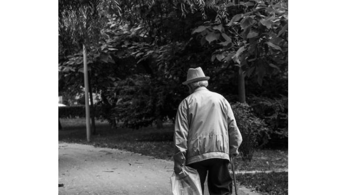 batran_foto_pexels_79412100